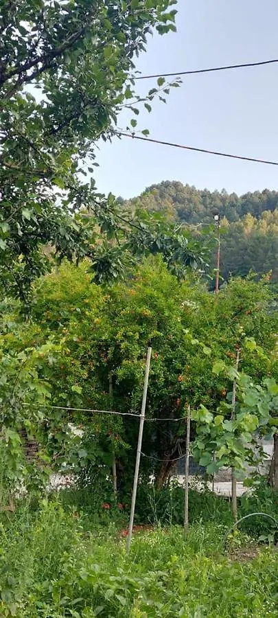 Apartament Teuta Përmet 0*,